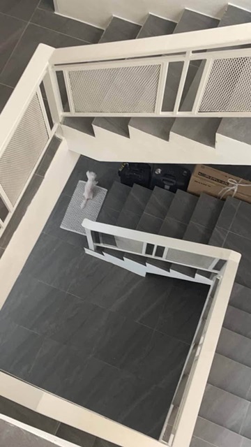 รัชดา BTSอารีย์ 1.3กม. ให้เช่าอาคาร 3ชั้น 28ตรว. 340ตรม. ทำเลใจกลางเมือง รร.นานาชาติรีเจ้นท์ 3.8กม. 3นอน 5น้ำ เหมาะกับทำธุรกิจเสริมความงาม