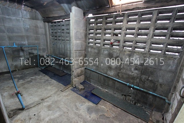 เช่า บ้าน 2 ชั้น 1,200 บาท ประชาอุทิศ สุขสวัสดิ์ พระประแดง