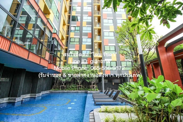 ห้องชุด Plum Condo Sukhumvit 97.1 13000 THAI BAHT 1BEDROOM พ.ท. 26 ตร.ม.   ทำเลดีเยี่ยม