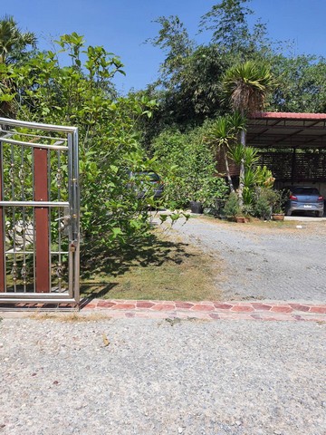 ขายที่ดิน 500 ตารางวา พร้อมบ้านและสวนกระท่อมใกล้แยกนพวงค์ ปทุมธานี (9)