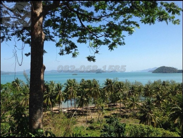 ขายที่ดินป่าคลอก ภูเก็ต เนื้อที่ 102 ไร่ ขายไร่ละ 15 ล้าน รวมเป็นเงิน 1,530 ล้าน อ.ถลาง ภูเก็ต