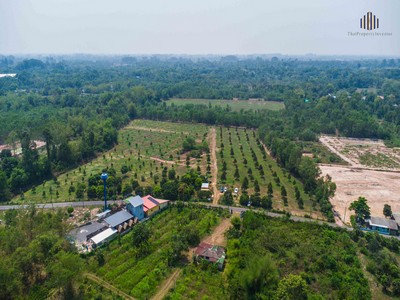 ขายที่ดินพร้อมสวนทุเรียนแปลงใหญ่ 21-1-68 ไร่ จังหวัด นครนายก ทรงที่ดินสวยหน้ากว้าง ระบบน้ำไฟสายสื่อสารพร้อม