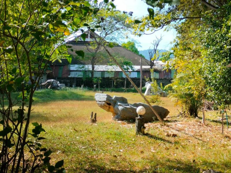 ขายที่ดินสวย 10 ไร่ #นครนายก ขายที่ดินสวย 10 ไร่ #นครนายก