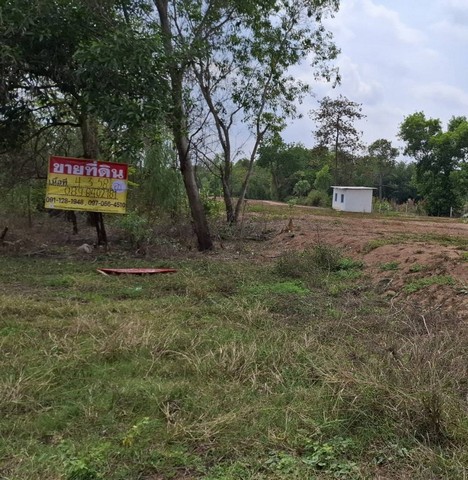 ขายที่ดิน 4-3-54 ไร่   ใกล้วิทยาลัยเกษตรและเทคโนโลยีอุดรธานี  กุดสระ  เมืองอุดรธานี   ZP169