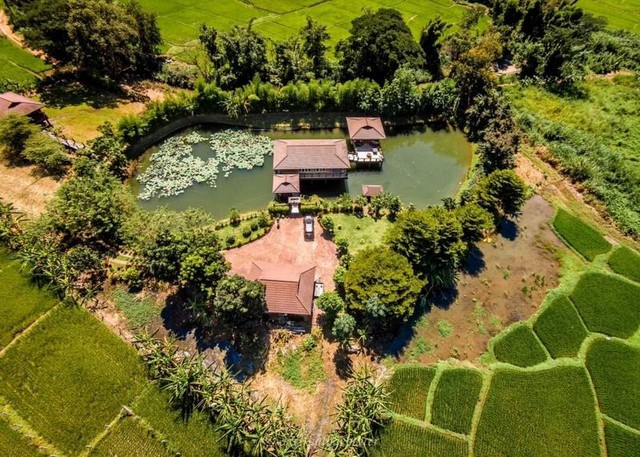 บ้านพักสไตล์รีสอร์ท บรรยายกาศดี วิวทุ่งนา วิวภูเขา สะเมิง เชียงใหม่