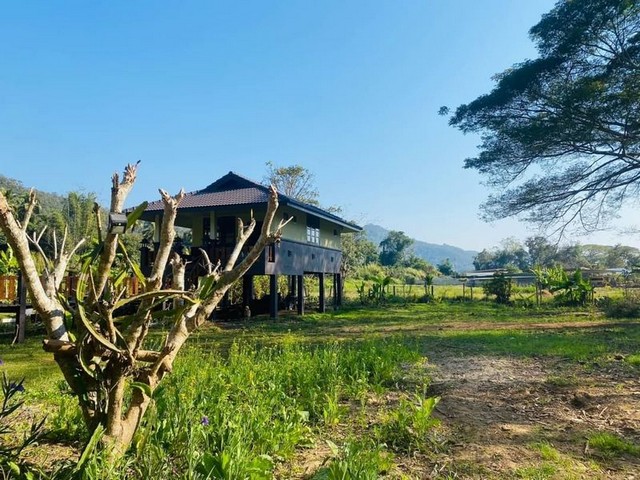 บ้านพักสไตล์รีสอร์ท บรรยายกาศดี วิวทุ่งนา วิวภูเขา สะเมิง เชียงใหม่