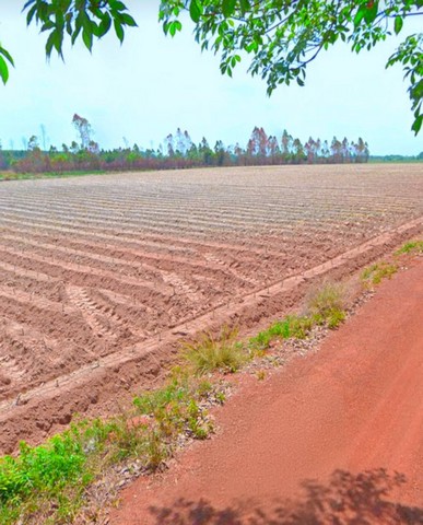 ขายที่ดินสวยโซนโรงงานอุตสาหกรรม ผังม่วงลาย บนเนื้อ  35-0-17  ไร่ 2  โฉนด แปลงยาวฉะเชิงเทรา
