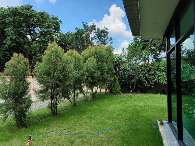 รหัสC6737 ให้เช่าบ้านเดี่ยวหลังใหญ่ เนื้อที่ 180 ตารางวา ตกแต่งพร้อมเฟอร์นิเจอร์ ย่านลาดพร้าว 130 รามคำแหง81