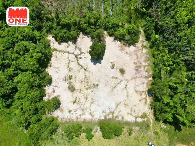 โอกาสทองของนักลงทุน ที่ดินแปลงสวย เนื้อที่ 2-3-48.9 ไร่ ใกล้มหาวิทยาลัยวลัยลักษณ์ ทำเลศักยภาพสูง