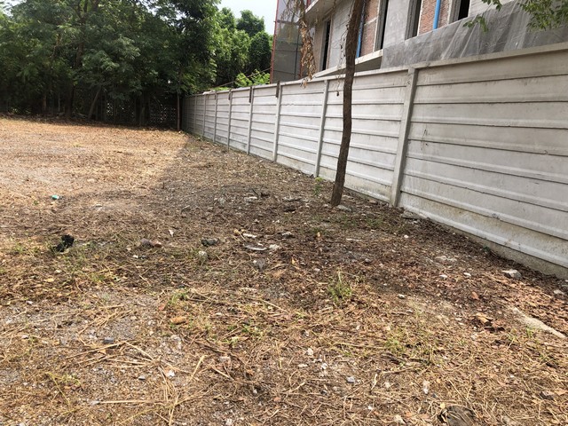 ขายด่วนๆ ที่ดิน ขนาด 188 ตารางวา หน้ากว้าง 26 เมตร ติดถนนซอย รามอินทรา 14 มัยลาภ แยก 2