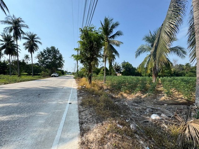 ขายที่ดิน 42 ไร่ ตะเคียนเตี้ยชลบุรี ผังสีเหลือง ทำเลดี เหมาะสำหรับสร้างโรงงาน โกดัง คลังสินค้า ศูนย์กระจายสินค้า