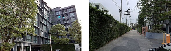 ขายคอนโดมือสอง เขตบางนา กรุงเทพมหานคร โครงการ ดิ เอ็กเซล กรูฟ