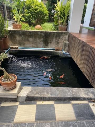 ให้เช่าบ้านเดี่ยว 2 ชั้น 199 ตรว. ซอยสรณคมณ์ ย่านดอนเมือง ใกล้ รร.นานาชาติ Harrow