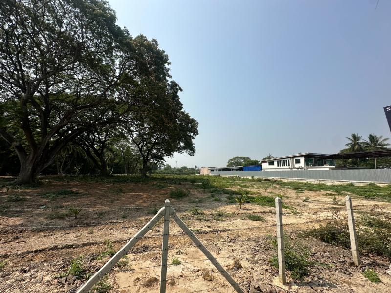 ขายที่ดินนครปฐม แปลงสวย ใกล้วัดศรีษะทอง  ขายที่ดินนครปฐม แปลงสวย ใกล้วัดศรีษะทอง