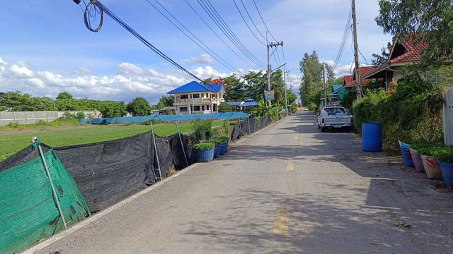 ขาย ที่ดิน 11-1-76 ตารางวา. ใกล้ถนนราชพฤกษ์ ตัดใหม่ ปทุมธานี (10)