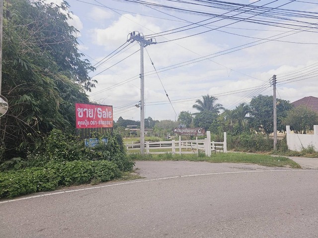 ขายที่เปล่าปากช่อง ห่างถนนมิตรภาพ 600 เมตร ใกล้รีสอร์ทใกล้หมู่บ้าน แหล่งชุมชน