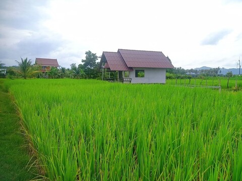 Land for Sale with Title Deed, Including Structures