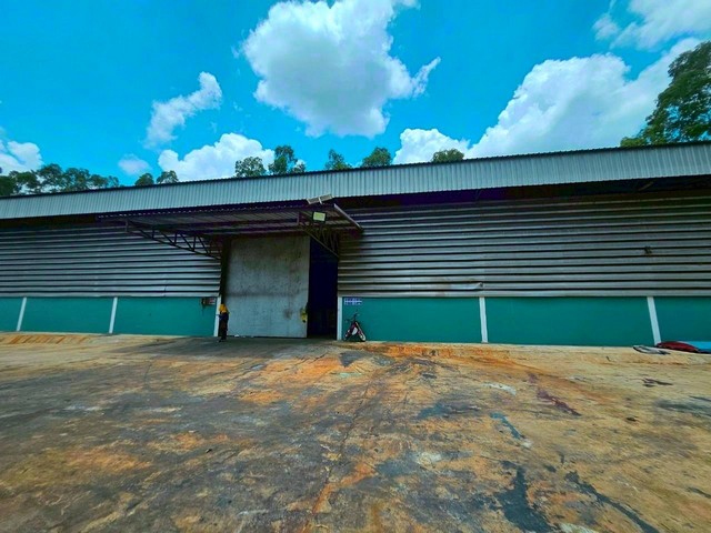 ขายและให้เช่าโรงงานโกล้นิคมเอเพ็กซ์กรีนฉะเชิงเทรา บนเนื้อที่ 19 -1-70  ไร่ ผังสีเหลือง