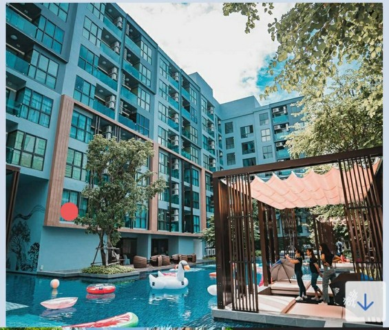 condo The Excel hideaway Sukhumvit 50 ดิ เอ็กเซล ไฮด์อะเวย์ สุขุมวิท 50   2500000 thb 1 ห้องนอน ใหญ่ 30 ตรม จัดหนักจัดเต็ม กรุงเทพ