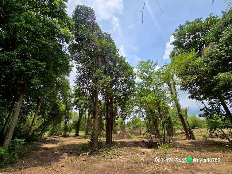 ขายที่ติดแม่น้ำนครนายก ต.บ้านใหญ่ อ.เมืองนครนายก หน้าปากซอยมีเซเว่น ว่างเพียง 4 แปลงสุดท้ายเท่านั้น