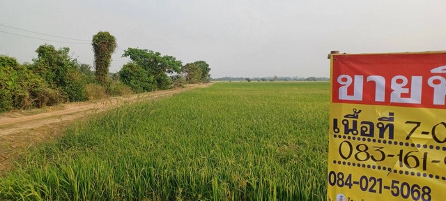 ขายที่นาราคาถูก 7 ไร่  หลังวัดป่าเรไร  ใกล้ชุมชน  บ้านกร่าง ต.บ้านกร่าง อ.เมือง จ.พิษณุโลก   ZK440