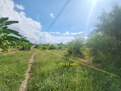 ทำเลดี...ไม่ต้องหาไกล ที่ดินเปล่า เมืองนครปฐม ซอยเทศบาล 2/1 – ธรรมศาลา ห่างจากถนนเพชรเกษมเพียง 800 เมตร ขนาดที่ดิน 1 ไร่ ผังเมืองสีชมพู