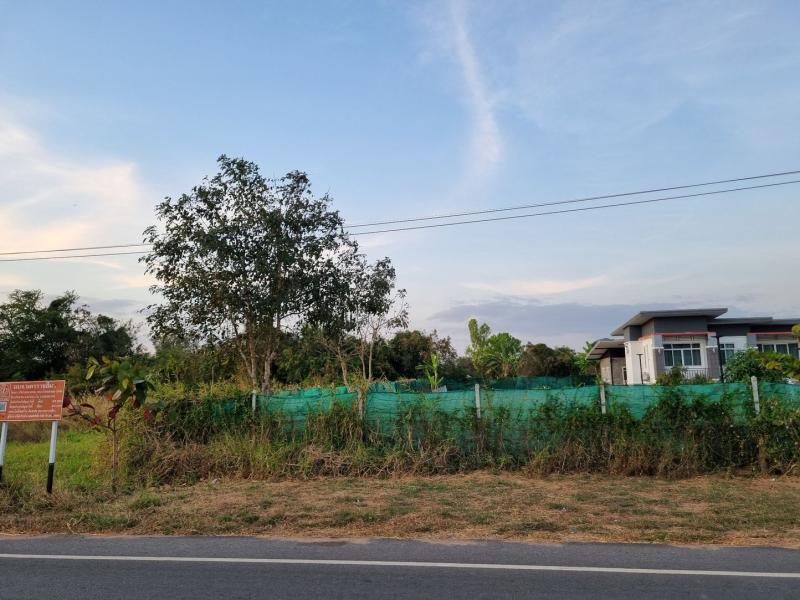 ขายที่ดินเปล่า ทำเลทอง ตำบลขามทะเลสอ อำเภอขามทะเลสอ จังหวัดนครราชสีมา
