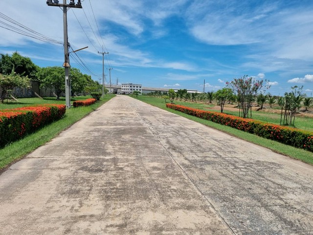 รหัสC6762 ให้เช่าโกดัง ริมถนนพระราม 2 บางกระเจ้า สมุทรสาคร พื้นที่ 4800 ตรม. แบ่งเช่าได้