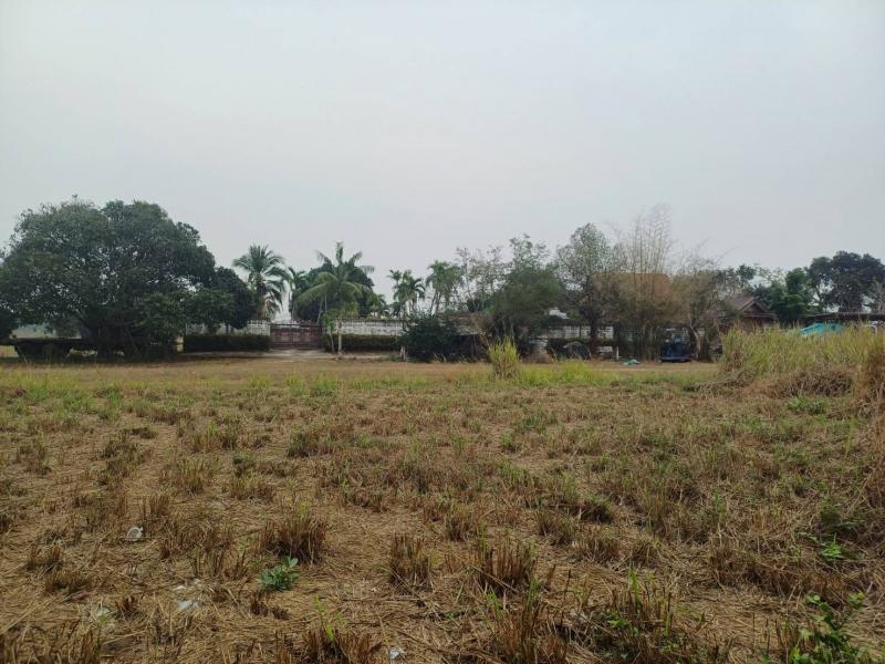 ขายที่ดินจัดสรร ทำเลดี  ตำบลหนองอีรุณ อำเภอบ้านบึง จังหวัดชลบุรี