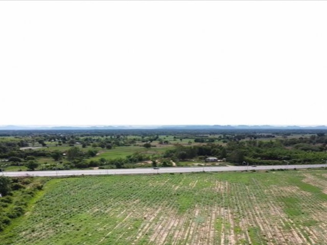 ขายที่ดิน 99 ไร่ 2 งาน 10.2 ตรว. ติดถนนทางหลวง 228 ชุมแพ-หนองบัวลำภู ปัจจุบันปลูกอ้อยเต็มพื้นที่ ต.นาจาน อ.สีชมพู จ.ขอนแก่น