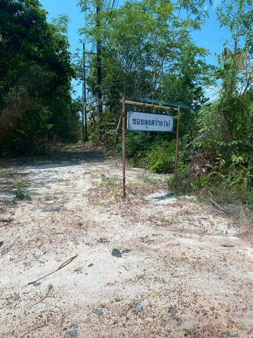 ขาย ที่เปล่าแหลมกลัด..ที่ใกล้ทะเลติดคลองสน ใกล้หาดมุกแก้ว ใกล้น้ำตกสะพานหิน