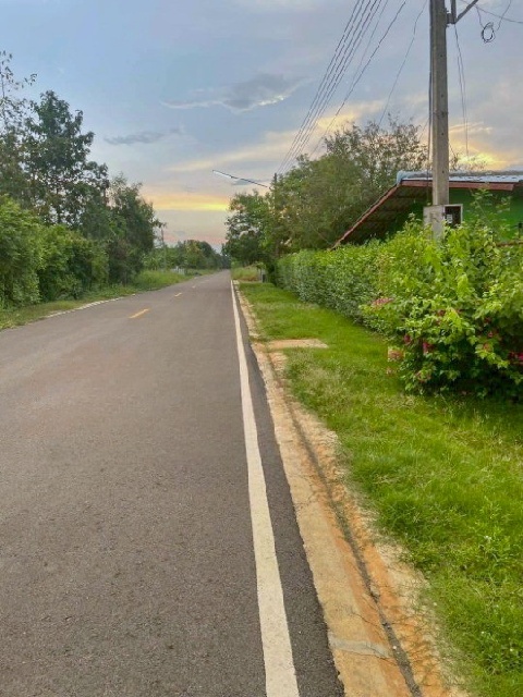 หนองเสือ คลอง14 251ตร.วา. รีบใช้เงิน ขาย ที่ดิน วัดประสิทธิเวช 4.2 กม.ติดถนนสาธารณะ ลาดยางแล้ว ตลาดธนกิจ หนองเสือ 5กม. ปทุมธานี