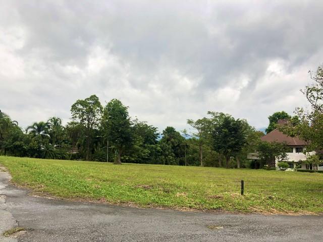 ขายที่ดิน แปลงมุม 470 ตรว. มวกเหล็ก สระบุรี ติดถนน 2 ด้าน ในสนามกอล์ฟเซอร์เจมส์คันทรีคลับ Forest Hill