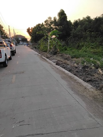 ขายด่วนที่ดิน 7 ไร่ 1 งาน 35 ตรางวา ตำบลลาดสวาย อำเภอลำลูกกา จังหวัดปทุมธานี