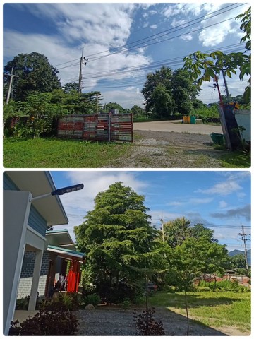 ขายที่ดินพร้อมสิ่งปลูกสร้างห้องพัก จำนวน 5 หลัง อำเภอฝาง จังหวัดเชียงใหม่ เนื้อที่รวม 1 ไร่ 2 งาน 6 ตารางวา