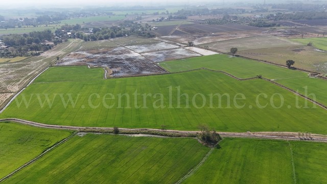 P4 ที่ดินเปล่า 22 ไร่ 41 ตร.ว. โคกม่วง ภาชี จ.อยุธยา ถูกที่สุด