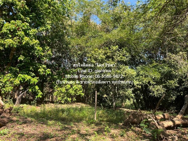 ขาย SALE ที่ดิน ขายที่ดินบนเนินเขา และที่ราบสลับซับซ้อนกันแปลงใหญ่ อ.ดอยสะเก็ด จ.เชียงใหม่ 23-2-68.9 ไร่ ราคา 71 ล้านบาท  23 Rai 2 ngan 69 ตารางวา 71000000 บ. ใกล้ ห่างท่าอากาศยานนานาชาติเชียงใหม่ 40 นาที ราคางาม