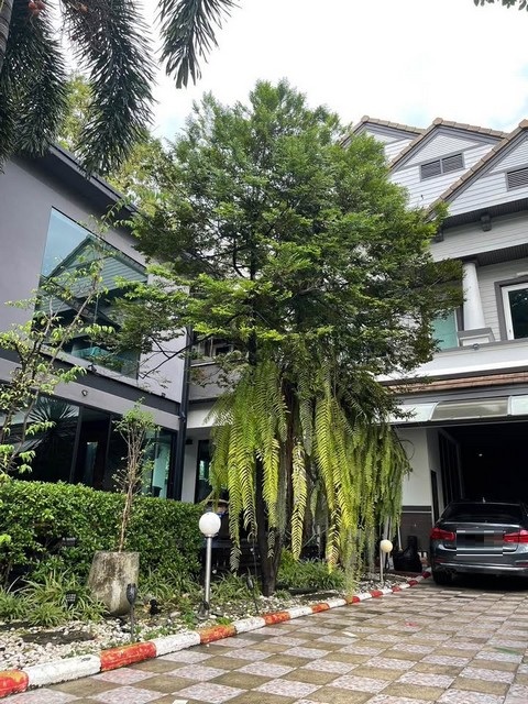 P593 ขายบ้านเดี่ยว โครงการ บ้านพัฒนาการ ซอยพัฒนาการ30 ซอยเดียวกันกับหมู่บ้านปัญญา