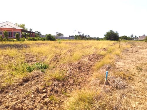 ขายที่ดินหน้าแปลงติดถนนชนบท(บึงพระ-บ้านดงพลวง)  ขนาด เนื้อที่ 2 ไร่ 1 งาน 24 ตร.ว.  ต.บึงพระ  อ.เมืองพิษณุโลก  จ.พิษณุโลก