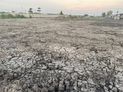 ขายที่ดินในซอยวัดศรีวารีน้อย สมุทรปราการ 2.5ไร่  ไร่ล่ะ 6.5ลบ