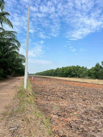 ที่ดินถูกมาก ใกล้กทม.เพียง1 ชม.คลอง 12 ปทุมธานี เพียงแค่ ไร่ละ 690,000 เท่านั้น