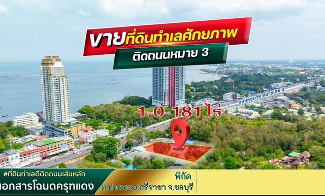 ขายที่ดิน บนทำเลศักยภาพ ติดถนนสุขุมวิท บางพระ ศรีราชา เห็นทะเล TP-L1215