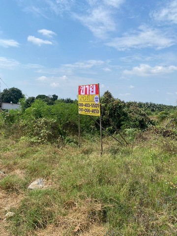 ขายที่ดิน 243.4 ตร.วา แปลงสวย ด้านหลังติดคลอง   ใกล้แหล่งชุมชน  ชัยมงคล  เมืองสมุทรสาคร  ZW551