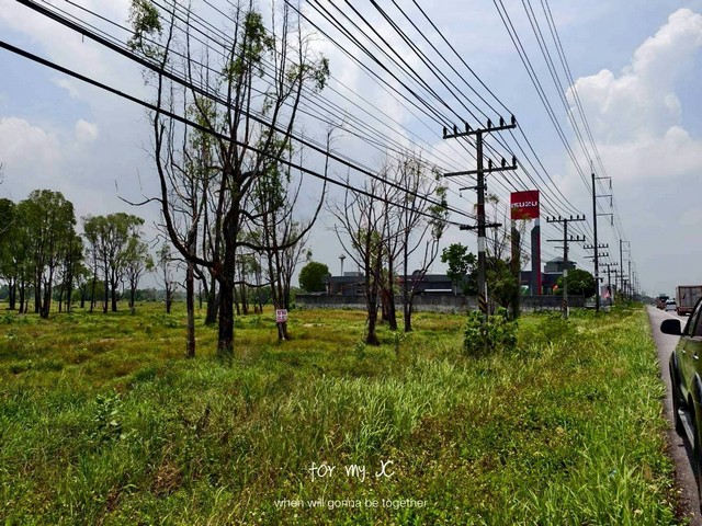 ขายที่ดินแปลงใหญ่ 42-0-75 ไร่ ใกล้สำนักงานเทศบาลตำบลบ้านนา ติดถนนหาดใหญ่–ปัตตานี