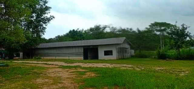 ขายที่ดิน พร้อมสิ่งปลูกสร้าง  บนเนื้อที่   9-3-62 ไร่ มีใบอนุญาต ร.ง4 พื้นที่สีเหลือง