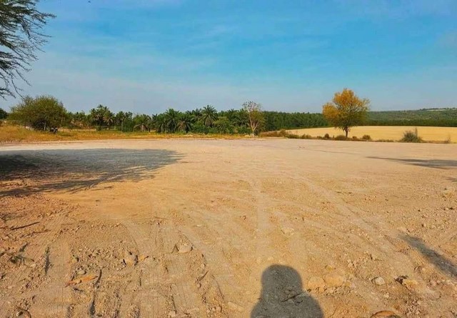 ขายด่วนที่ดินหนองบอนแดงชลบุรีบนเนื้อที่ 3 ไร่ ที่ดินผังสีเหลือง หน้ากว้างประมาณ 60 เมตร  ถนนกว้าง. 6. เมตร มีน้ำไฟหน้าที่ดิน