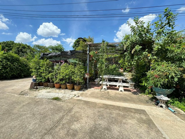 ขายที่ดิน 407 ตร.วา ตรงข้ามเดอะมอลล์บางแค ใกล้ MRT หลักสอง เพียง 25 ล้าน ทำเลทองพื้นที่สีแดง