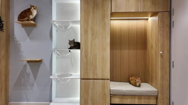 คอนโดทำเลทอง ใจกลางเชียงใหม่ 2.29 ล้าน 54 ตรม. #ศรีธนา1 คอนโด #Pet-Friendly! #วิวเมือง ห้องกว้าง #เฟอร์นิเจอร์ครบ พร้อมเข้าอยู่ได้เลย