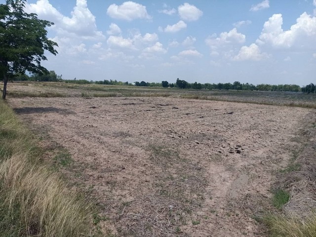  ขายที่ดินราคาถูก ติดถนน 3 ไร่ 2 งาน 36 ตารางวา จ.ชัยภูมิ  อ.เมืองชัยภูมิ ต.บ้านเล่า