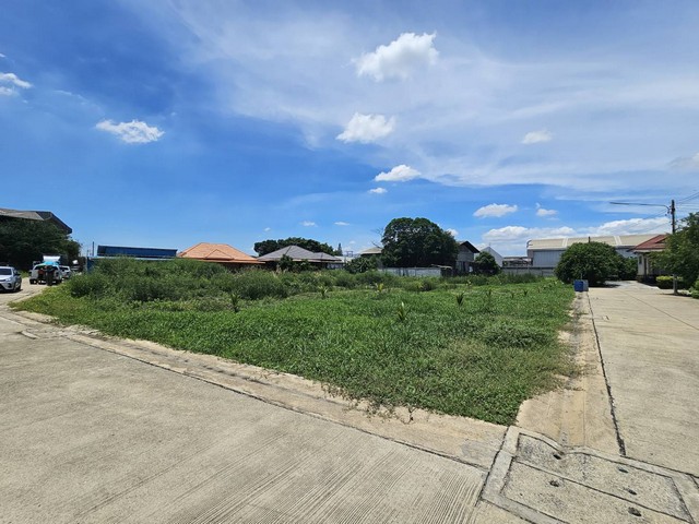 ขายที่ดินเปล่า 2 ไร่ 28 ตร.ว. ผังเมืองสีม่วง ใกล้ถนนเศรษฐกิจ ทำเลแหล่งเศรษฐกิจ กระทุ่มแบน สมุทรสาคร